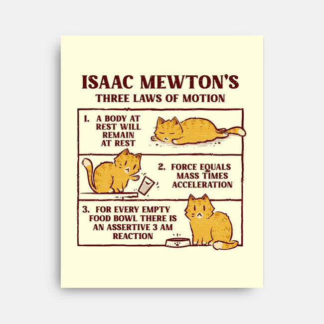 Isaac Mewton's Laws Of Motion-None-Stretched-Canvas-kg07