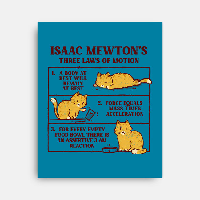 Isaac Mewton's Laws Of Motion-None-Stretched-Canvas-kg07