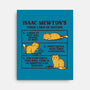 Isaac Mewton's Laws Of Motion-None-Stretched-Canvas-kg07