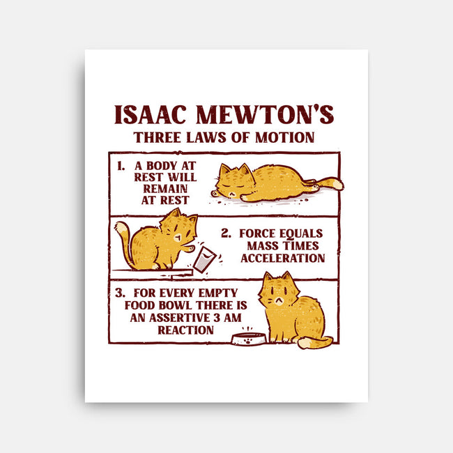 Isaac Mewton's Laws Of Motion-None-Stretched-Canvas-kg07