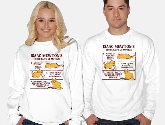 Isaac Mewton's Laws Of Motion