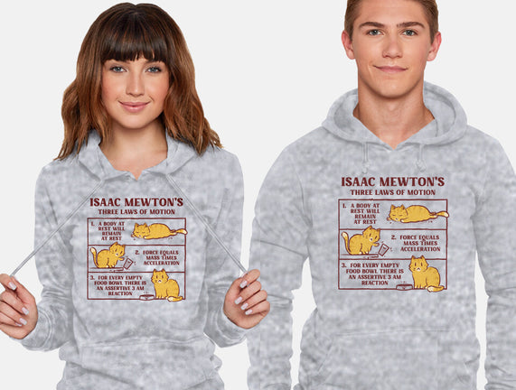 Isaac Mewton's Laws Of Motion