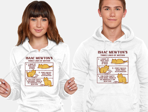 Isaac Mewton's Laws Of Motion