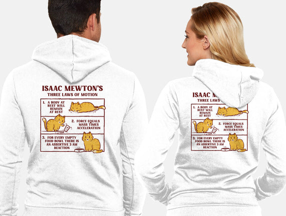 Isaac Mewton's Laws Of Motion