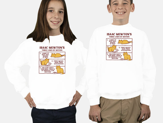 Isaac Mewton's Laws Of Motion