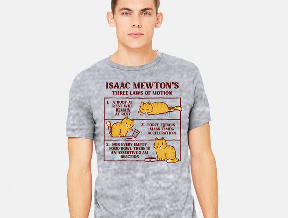 Isaac Mewton's Laws Of Motion