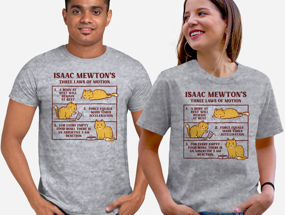 Isaac Mewton's Laws Of Motion