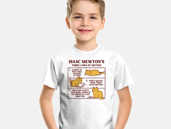 Isaac Mewton's Laws Of Motion
