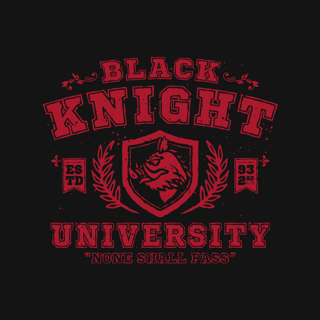 Black Knight University-Womens-V-Neck-Tee-teesgeex