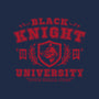 Black Knight University-Unisex-Basic-Tee-teesgeex