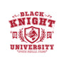 Black Knight University-Mens-Premium-Tee-teesgeex