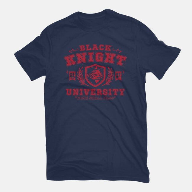 Black Knight University-Womens-Basic-Tee-teesgeex