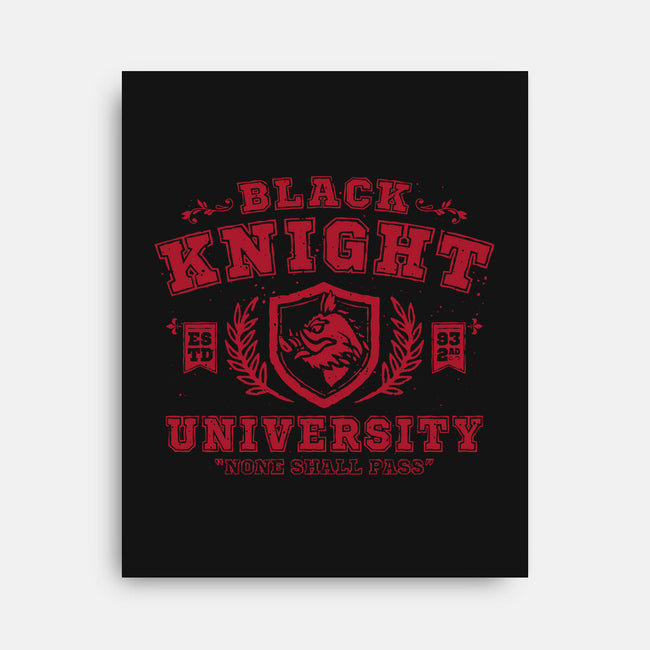 Black Knight University-None-Stretched-Canvas-teesgeex