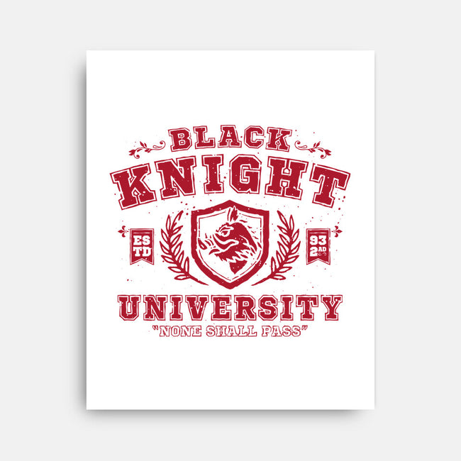 Black Knight University-None-Stretched-Canvas-teesgeex