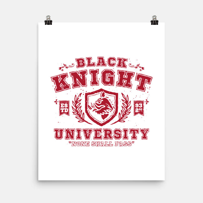 Black Knight University-None-Matte-Poster-teesgeex