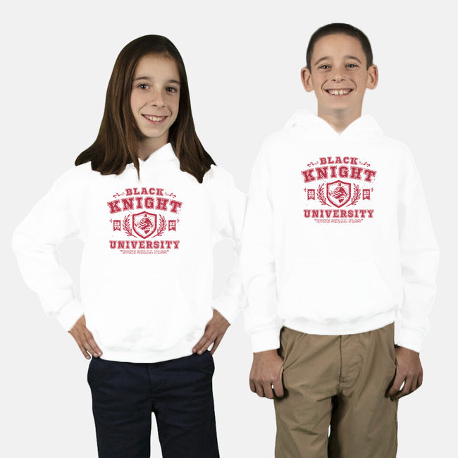 Black Knight University-Youth-Pullover-Sweatshirt-teesgeex