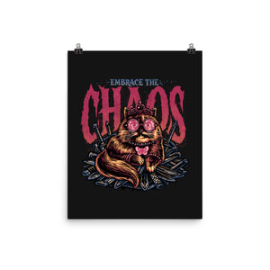 The Cat And The Chaos