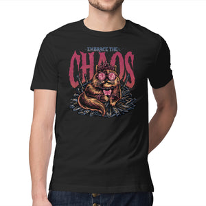 The Cat And The Chaos