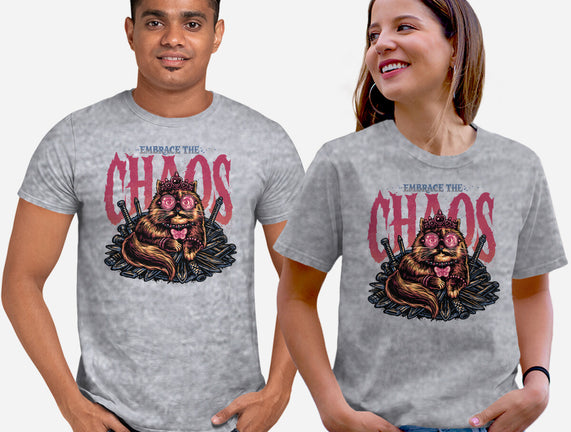 The Cat And The Chaos