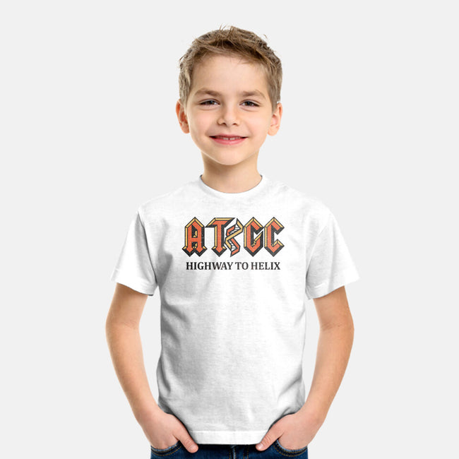 Highway To Helix-Youth-Basic-Tee-kg07