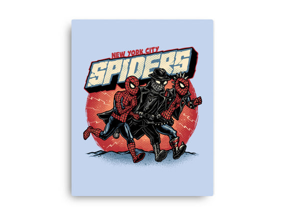 New York City Spiders
