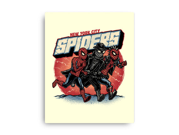 New York City Spiders