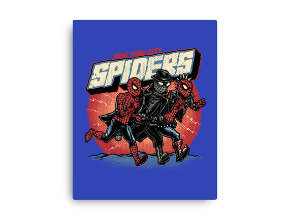 New York City Spiders