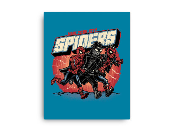 New York City Spiders