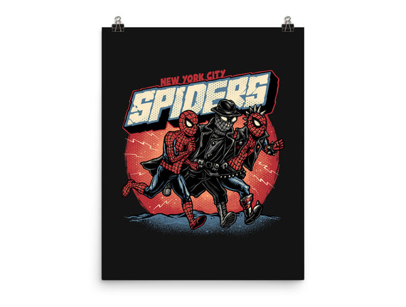 New York City Spiders