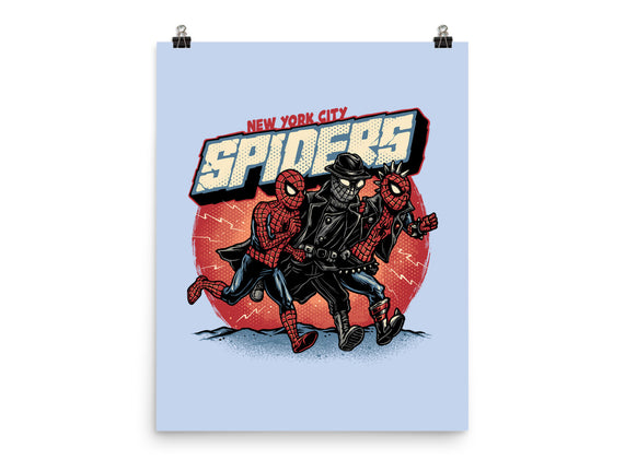 New York City Spiders