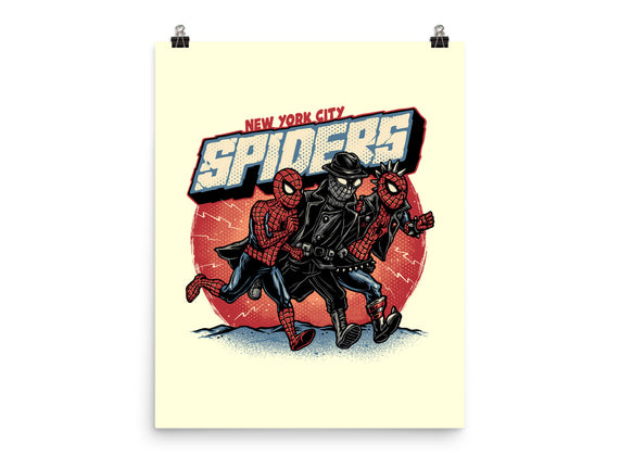 New York City Spiders