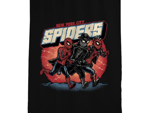 New York City Spiders