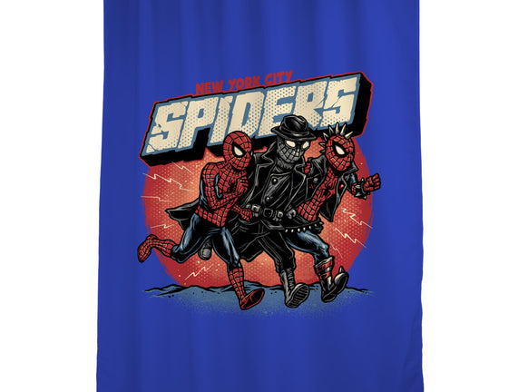 New York City Spiders