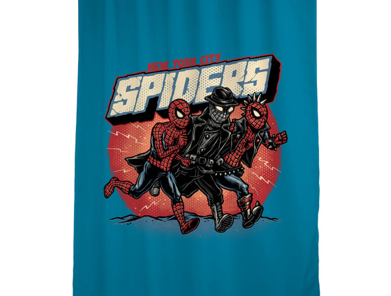 New York City Spiders