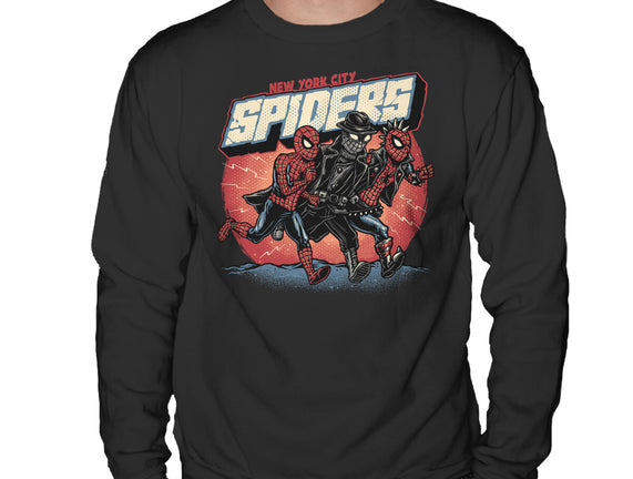 New York City Spiders