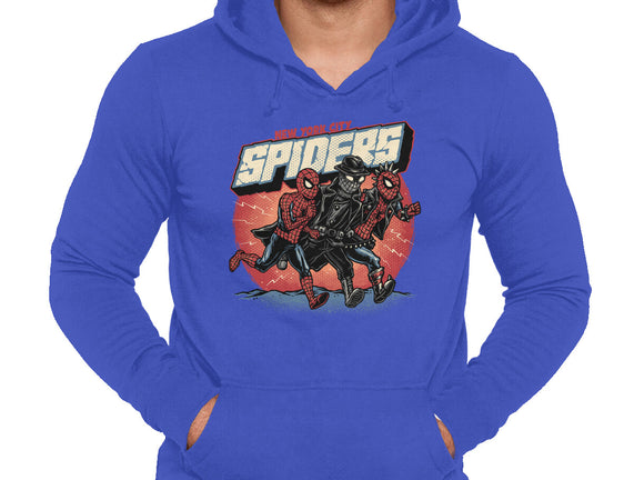 New York City Spiders