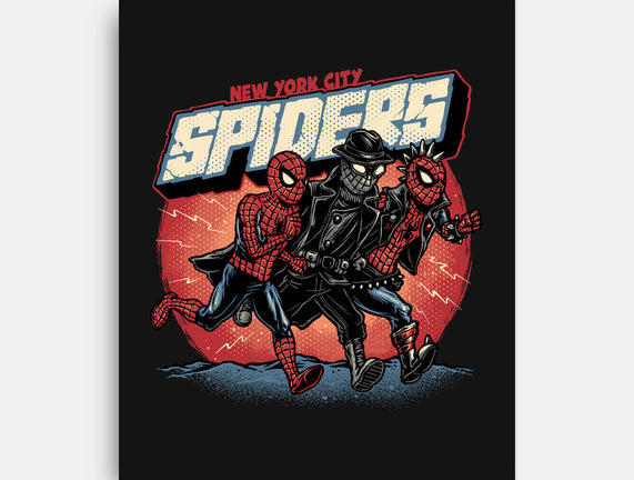 New York City Spiders