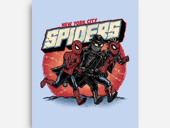 New York City Spiders