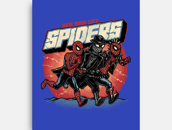 New York City Spiders