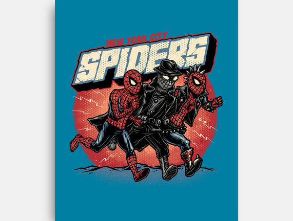 New York City Spiders