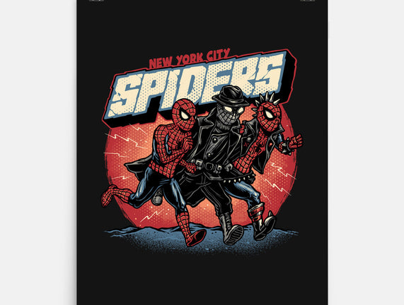 New York City Spiders