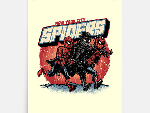 New York City Spiders