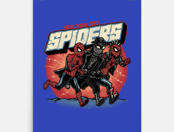 New York City Spiders