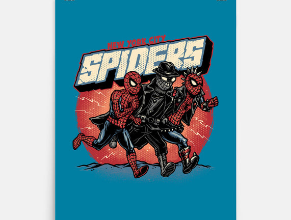 New York City Spiders