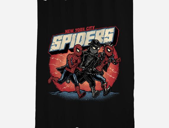 New York City Spiders