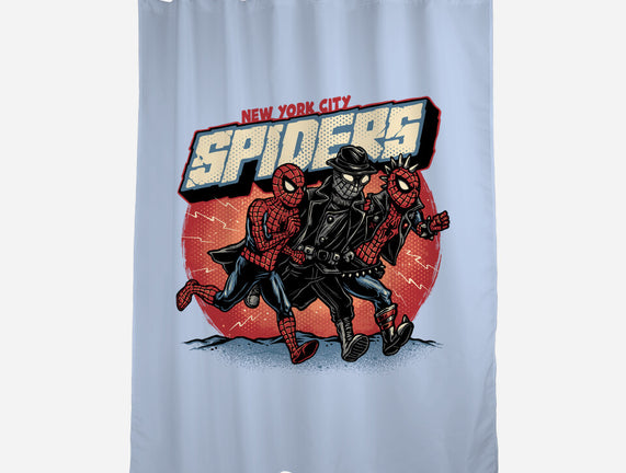 New York City Spiders
