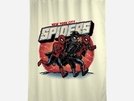 New York City Spiders