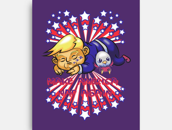 Make America Nap Again