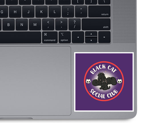 Black Cat Social Club