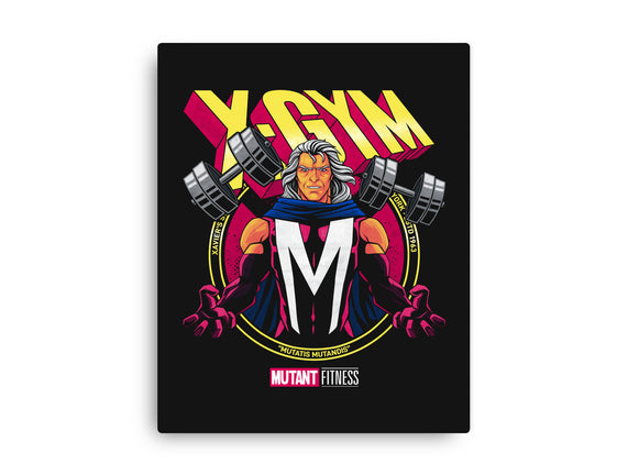 X-Gym Fitness